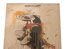 Grace/Wastelands LP Vinyl Record - Peter Doherty RARE Excellent Condition 