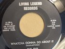 THE EVIL   WHATCHA GONNA DO ABOUT IT  LIVING LEGEND Rare Orig ‘60s FL GARAGE 45
