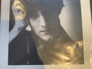 The Durutti Column Vini Reilly RSD Rare 2 LP + 7 single