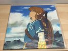 Legend Of Zelda Breath Of The Wild lofi BOTW not moonshake Vinyl Record VGM