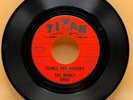 The Wooly Ones - Slings And Arrows / Put Her Down 45Rpm Garage Rock Rare Titan