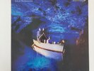 echo & the bunnymen LP RECORD WITH INNER SLEEVE ocean rain
