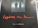 Source Direct - Exorcise The Demons LP 3 X 12” Album Rare Drum & Bass Record