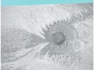 Four Tet New Energy GATEFOLD SLEEVE / REISSUE NEW OVP TEXT 2xVinyl LP
