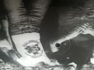 Böhse Onkelz Pic Lp