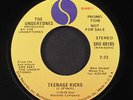 UNDERTONES: teenage kicks / mono SIRE 7