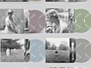 Taylor Swift “Folklore” Deluxe Vinyl (All 9 Variants)