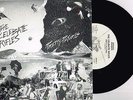 THE CELIBATE RIFLES - PRETTY PICTURES - RARE 7