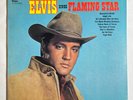 Elvis Presley : Flaming Star LP 33 rpm 12
