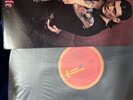 Scarred for Life by Rose Tattoo (Vinyl, 1982)
