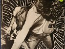 Mudhoney ‎– 'Superfuzz Bigmuff' 12