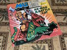 Masters Of The Universe He-Man & Battle Cat Vinyl 7