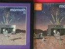 Wolfgang Van Halen SIGNED AUTOGRAPH FRAMED MAT MAMMOTH II BEACH BALL LP VINYL