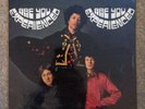 Jimi Hendrix - Are You Experienced TRACK MONO Vinyl Record LP First Press