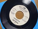 BOB REGAN 45 Tarantula 1964 Surf Garage Rocker Instrumental Hot Rod Rockabilly