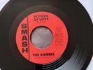 Northern Soul - The Ambers - Potion Of Love 7