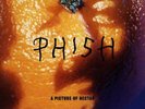 Phish A Picture Of Nectar Grape Apple Vinyl LP