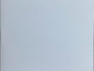 The Who - Who's Next 2XLP 45 RPM Analogue Productions Test Pressing