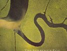 Dead Can Dance The Serpent's Egg (Vinyl) 12