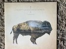 HEARTLESS BASTARDS - Arrow (10th Anniversary Edition) - Vinyl (2xLP)