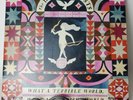 The Decemberists Record LP What a Terrible World What a Beautiful World 2015