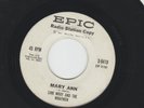 ROCKABILLY GARAGE 45 - LINK WRAY & the WRAYMEN - MARY ANN  - HEAR - 1960 DJ EPIC