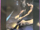 Siouxsie & The Banshees - The Scream Vinyl LP