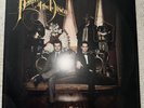 Panic  at the Disco - Vices & Virtues vinyl LP record RARE and OOP