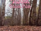 TWINK Think Pink & Sound Of Silk - 2x coloured Vinyl LPs - Akarma AK 064/2