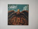 NM cianide dying truth death metal vinyl The Crypt DD version