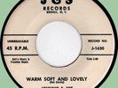 JOHNNIE & JOE Warm Soft and Lovely / False Love Has Got to Go 45rpm J&S promo