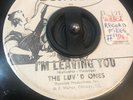 The Luv'd Ones - I'm Leaving You / Walkin' The Dog RARE GARAGE PROMO 1966 7