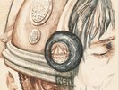 Neil Young Chrome Dreams (Vinyl) 12