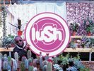 Lush LOVELIFE (191400045309) New Sealed Limited Edition Clear Vinyl Record LP