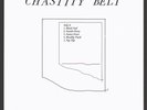 Chastity Belt - No Regerts (10th Anniversary Edition) (Washington Exclusive) LP