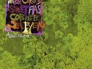Animal Collective - Water Curses (12