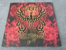 Ash Meltdown Album Coloured Vinyl,Indie Rock