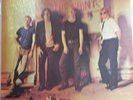 THE SAINTS - I'M STRANDED Original Vinyl LP Harvest SHsp 4065