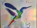 The Sherlocks - Live For The Moment Ltd Ed Splatter LP - Signed- Last One 4 Sale