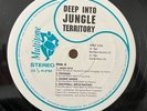 Deep Into Jungle Territory - Bhangra Punjabi - Record Vinyl Lp