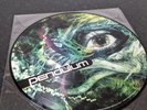 Pendulum – Tarantula / Fasten Your Seatbelt – UK Vinyl Picture Disc 12
