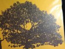 Jack Johnson - In Between Dreams Vinyl Lp VGC NM +++