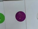 Y-Traxx - Mystery Land 3x Promo Vinyl  NEBDJ047