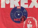 T-Rex / Tyrannosaurus Rex 7