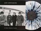 Joy Division  A New Dawn Fades