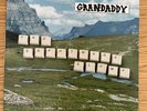 Grandaddy ‎– The Sophtware Slump original V2 LP READ DESCRIPTION