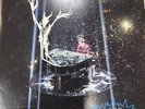 Panic  At The Disco: All My Friends We're Glorious Death Of A Bachelor Tour 2XLP
