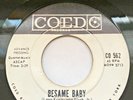 JOHNNY MAESTRO  45 BESAME BABY/IT MUST BE LOVE COED doo wop promo RARE VG++