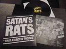 SATANS RATS - WHAT A BUNCH OF RODENTS LP ..EXCELLENT CONDITION