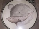 Gojira ‎– From Mars To Sirius Vinyl 2xLP - Picture Disc Limited